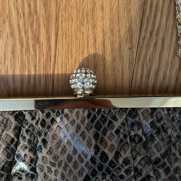 Brand new Jessica Simpson Clutch purse. - Picture 4 of 7